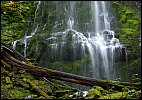 Proxy Falls