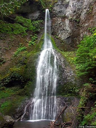 Marymere Falls Marymere Falls, flowing water, Olympic National Park, Piedmont, Port Angeles, United States, Washington, water, waterfall