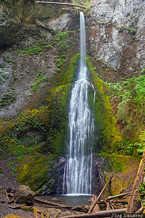 Marymere Falls Port Angeles, United States, USA, Washington, Marymere Falls, motion, Olympic National Park, Vereinigte Staten, WA