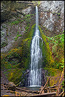 Marymere Falls