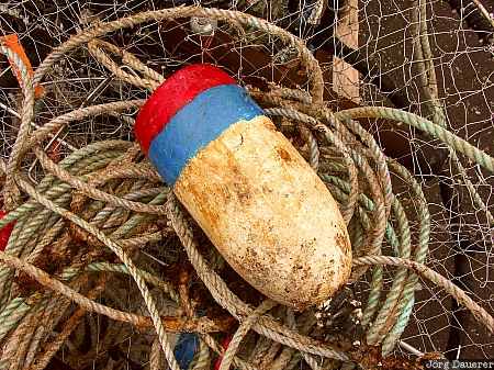 USA, Oregon, Newport, rope, harbour, harbor, buoy, United States, Vereinigte Staten, OR