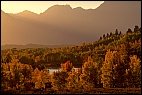 Fall colors