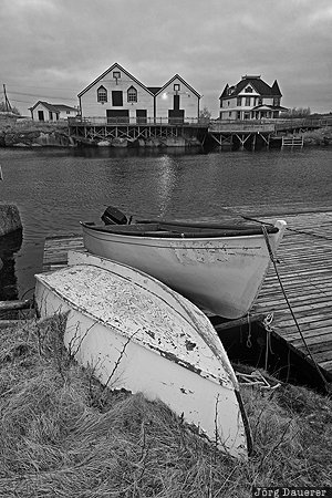 Newtown Boats CAN, Canada, Atlantic Ocean, boat, boats, evening light, harbor, Newfoundland and Labrador, Newtown, Kanada