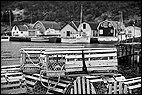 Lobster Traps