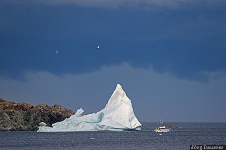 CAN, Canada, Newfoundland, boat, dark clouds, iceberg, Wild Cove, Kanada