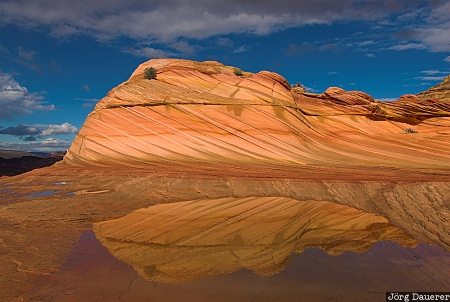 second wave, coyote buttes, reflexion, pool, rain, Arizona, United States, USA, Vereinigte Staten, AZ