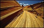 Sandstone-Lines