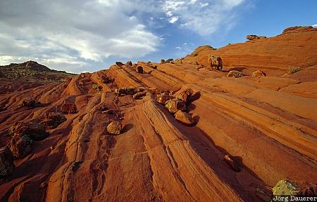 Evening light, Sandstone, rock, the wave, coyote buttes, Arizona