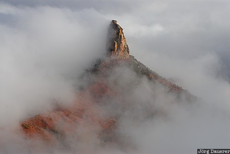 Fog on Mount Hayden United States, Arizona, North Rim, fog, Grand Canyon, mist, national park, USA, Vereinigte Staten, AZ