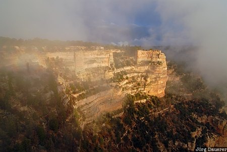 Fog and Morning Light Fog and Morning Light, Arizona, North Rim, United States, Vista Encantada, fog, morning light, rocks, sandstone, waft of mist