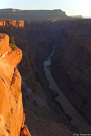 Arizona, Supai, Tuweep, United States, Colorado river, grand canyon, morning light, USA, Vereinigte Staten, AZ