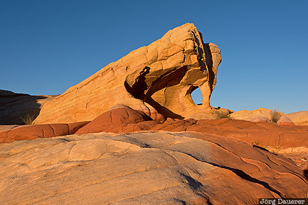 Nevada, United States, USA, arch, blue sky, evening light, Fire Canyon
