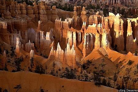 Bryce Canyon, hoodoos, bryce canyon national park, sunset, Utah, United States, morning light, sandstone