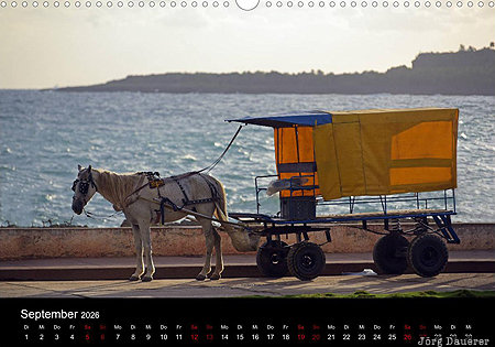 Baracoa, province Guantanamo, cuba, Kuba, calendar, July, German, Guantanamo
