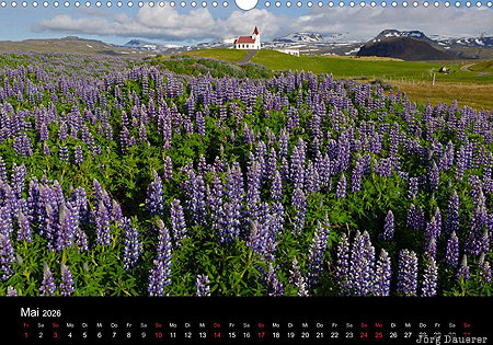 Ingjaldsh&oacute;lskirkja, Sn&aelig;fellsnes Peninsula, Vesturland, Iceland, calendar, May, Ingjaldsholskirkja