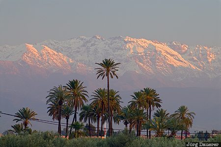 High Atlas Mountains Marrakech-Tensift-Al Haouz, Menara, Morocco, evening light, high Atlas, MAR, Marrakech, Marokko, Marrakesh, Murakush