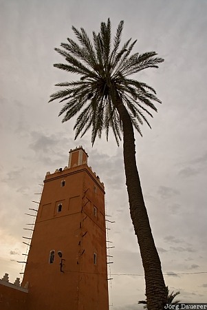Minaret and Palm Tree clouds, Dou Tourga, minaret, Morocco, mosque, palm tree, Sidi Ali Ou Sa'd, Marokko