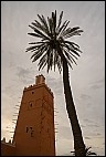 Minaret and Palm Tree