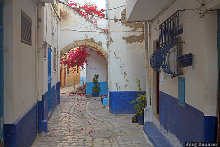 Medina of Bizerta Gouvernorat Bizerta, alley, arch, Bizerta, Bizerte, blue, Medina, Tunisia