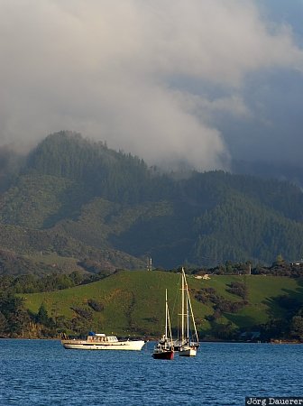 New Zealand, Waikato, Coromandel, boat, coast, coastline, fog, Neuseeland
