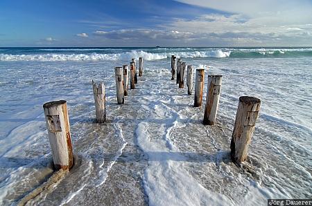 New Zealand, Saint Clair, Saint Kilda, beach, coast, Otago, rotten wood poles