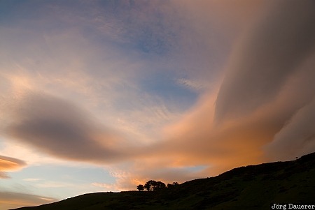 New Zealand, Saint Clair, blue sky, Cirrus cloud, evening light, Otago, red clouds, Neuseeland