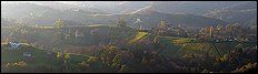 Styria Vineyards