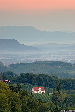 Sunrise in the vineyard Austria, Styria, Ratsch an der Weinstraße, farm house, fog, mist, morning light, Österreich, Steiermark, Oesterreich