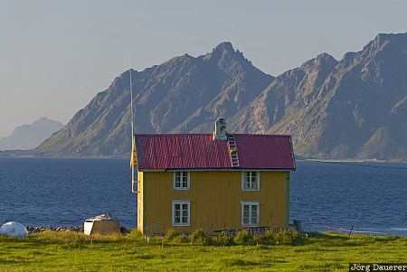 Austv&aring;g&oslash;y, green, house, hut, Lofoten, Lofoten archipelago, meadow