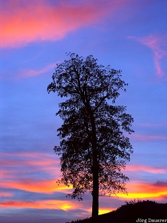 Jachenau, Bavaria, Oberbayern, church, red clouds, evening, sunset, Germany, Deutschland, Bayern