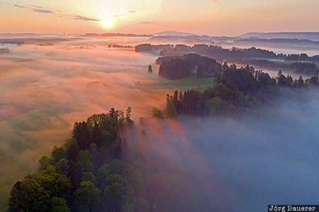 Litzauer Schleife Bavaria, Burggen, DEU, Germany, back-lit, fog, Lech, Deutschland, Bayern
