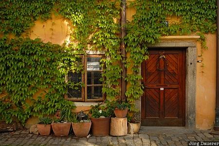 Cesk&yacute; Krumlov, Czech Republic, Krumau, alley, door, ivy, Cechy