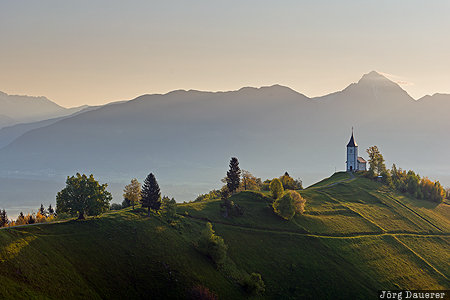 church, green, Jamnik, Julian Alps, meadow, morning light, Saints Primus and Felician, Slovenia, Upper Carniola
