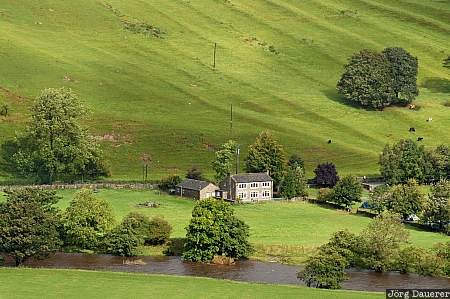 United Kingdom, Yorkshire, Swaledale, meadows, farm, river, trees, Gro&szlig;britannien, Vereinigtes K&ouml;nigreich, Grossbritannien, Vereinigtes Koenigreich