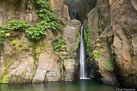 Salto do Cabrito Azores, Caldeiras, Portugal, PRT, Cascata do Cabrito, green, Salto do Cabrito