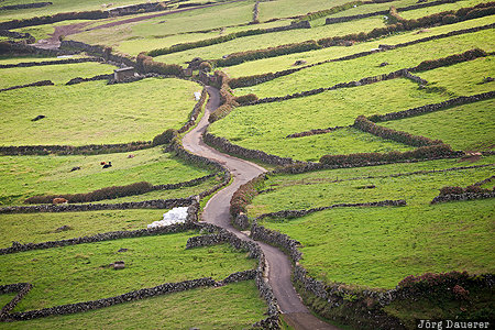 Winding Road Azores, Portugal, PRT, Vila do Corvo, Atlantic ocean, dry stone wall, green
