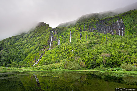 Azores, Outeiro, Portugal, PRT, flores, fog, green, Po&ccedil;o Ribeira do Ferreiro