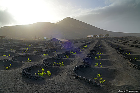 Barranco Del Agua, Canary Islands, ESP, La Asomada, Spain, Lanzarote, la geria, Spanien, Espana