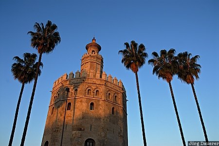 Andalusia, Seville, Spain, Torre del Oro, blue sky, morning light, palm