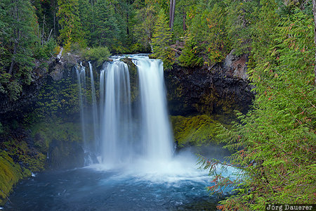 Koosah Falls Oregon, Sisters, United States, USA, cascade mountains, cascade range, cascades, Willamette National Forest, Vereinigte Staten, OR