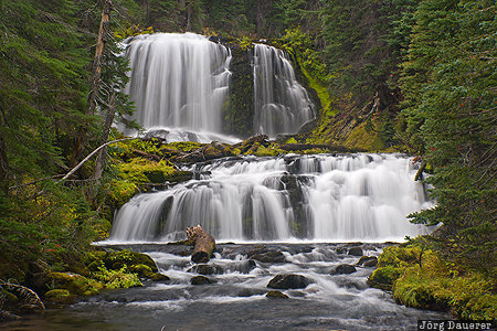 Bend, Oregon, United States, USA, Deschutes National Forest, Middle Fork Tumalo Creek, Tumalo Creek, Vereinigte Staten, OR