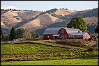 Red Farm