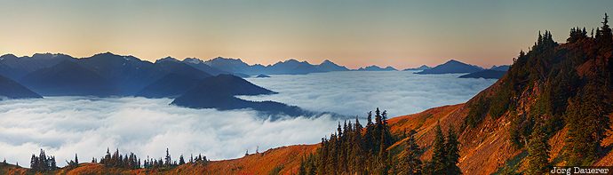 Olympic Mountains clouds, fog, morning light, mountains, Olympic mountains, Olympic National Park, Port Angeles, United States, USA, Vereinigte Staten