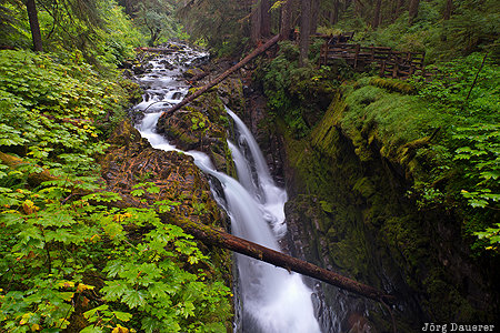 Olympic Hot Springs, Port Angeles, United States, USA, Washington, green, Olympic National Park, Vereinigte Staten, WA