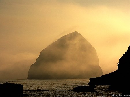USA, Oregon, Cape Kiwanda, sea stack, mist, fog, coast, United States, Vereinigte Staten, OR