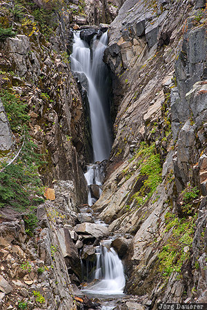 Ashford, Paradise, United States, USA, Washington, motion, Mount Rainier National Park, Vereinigte Staten, WA