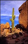 Rocks