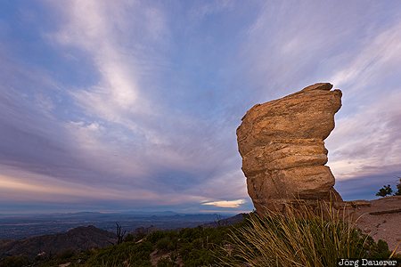 Windy Point Arizona, Mount Lemmon, United States, USA, Willow Canyon, fill flash, flash gun