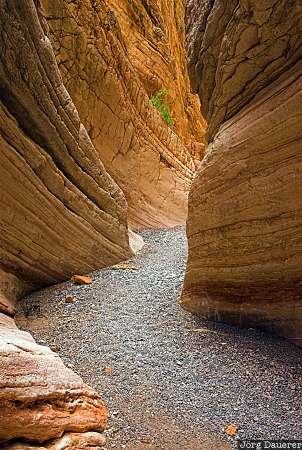 Lowell Canyon desert, Lowell slot canyon, slot, canyon, Nevada, United States, sandstone, USA, Vereinigte Staten, NV