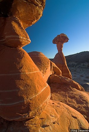 Sandstone Hoodoos United States, Utah, Kanab, Paria, evening light, hoodoo, Rimrocks, USA, Vereinigte Staten, UT
